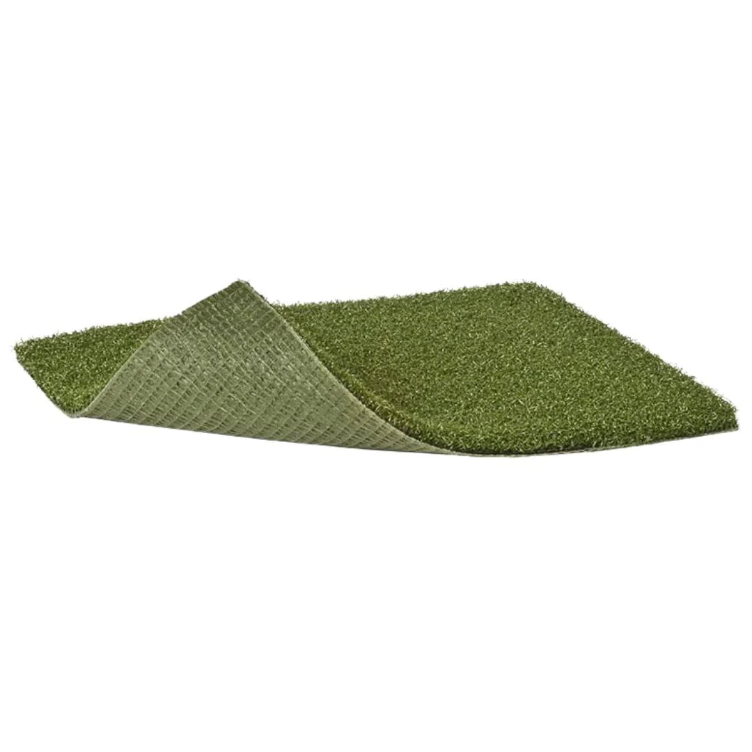 Money Putt Green